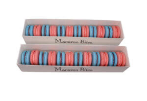 French Macaron</br> Pink and Blue Checkered